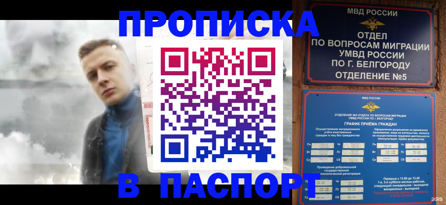 временная регистрация в Заринске